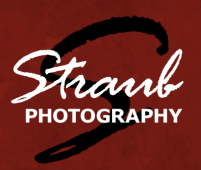 Screen Shot 2018-03-02 at 10.15.31 AM